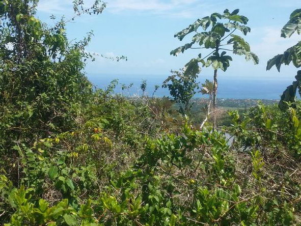 Third image of Cardiff Hall in Runaway Bay, St. Ann, Jamaica - property is For Sale