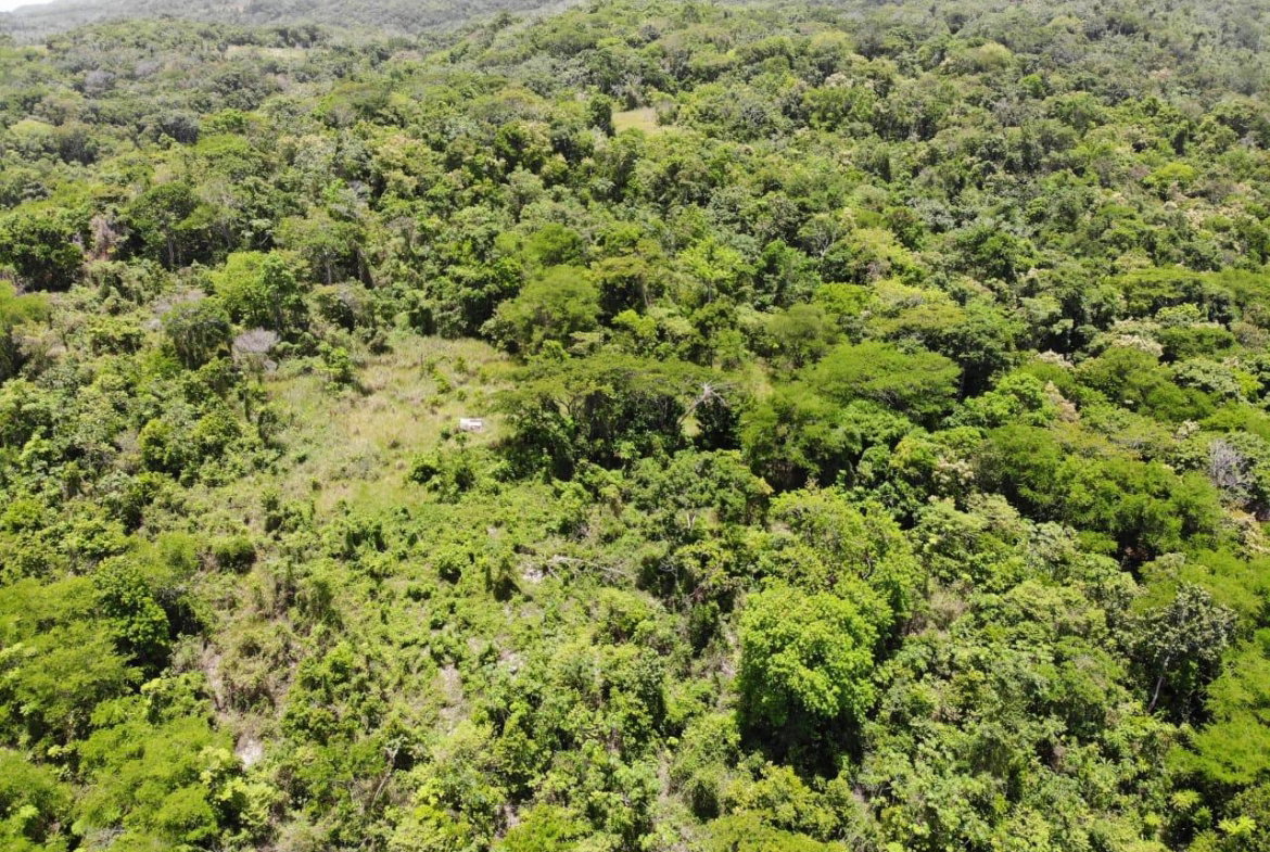 Twenty-First image of Cardiff Hall in Runaway Bay, St. Ann, Jamaica - property is For Sale