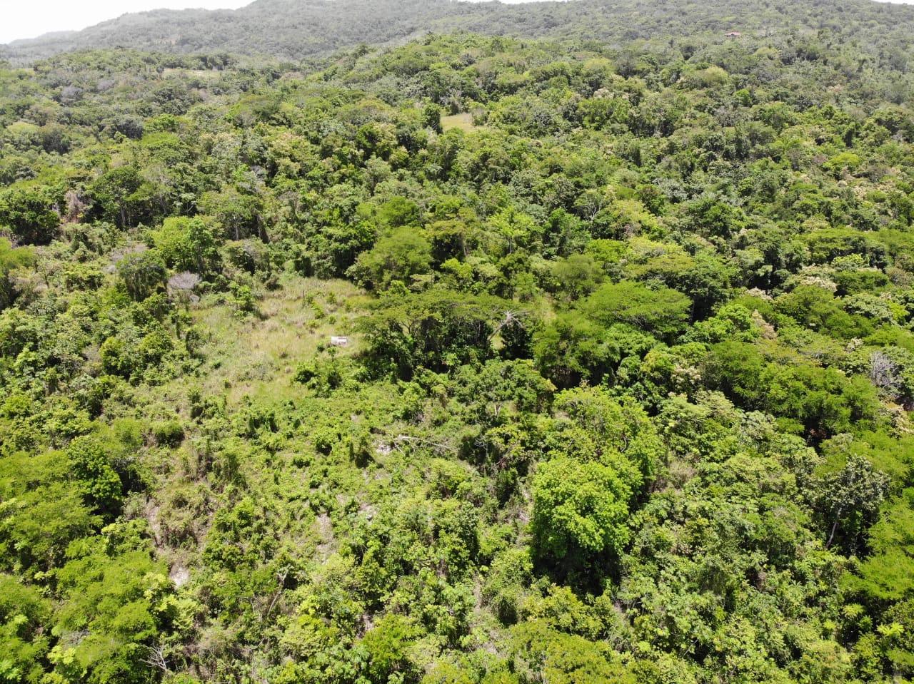 35.33-Acres-Ocean-View-Development-Land-in-Cardiff-Hall-Jamaica Twenty-First image of Cardiff Hall in Runaway Bay, St. Ann, Jamaica - property is For Sale