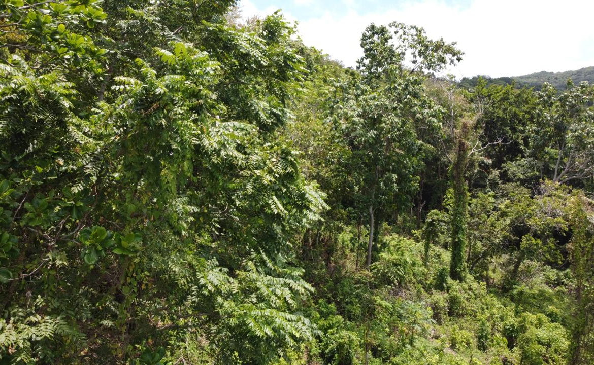 Twenty-Second image of Cardiff Hall in Runaway Bay, St. Ann, Jamaica - property is For Sale
