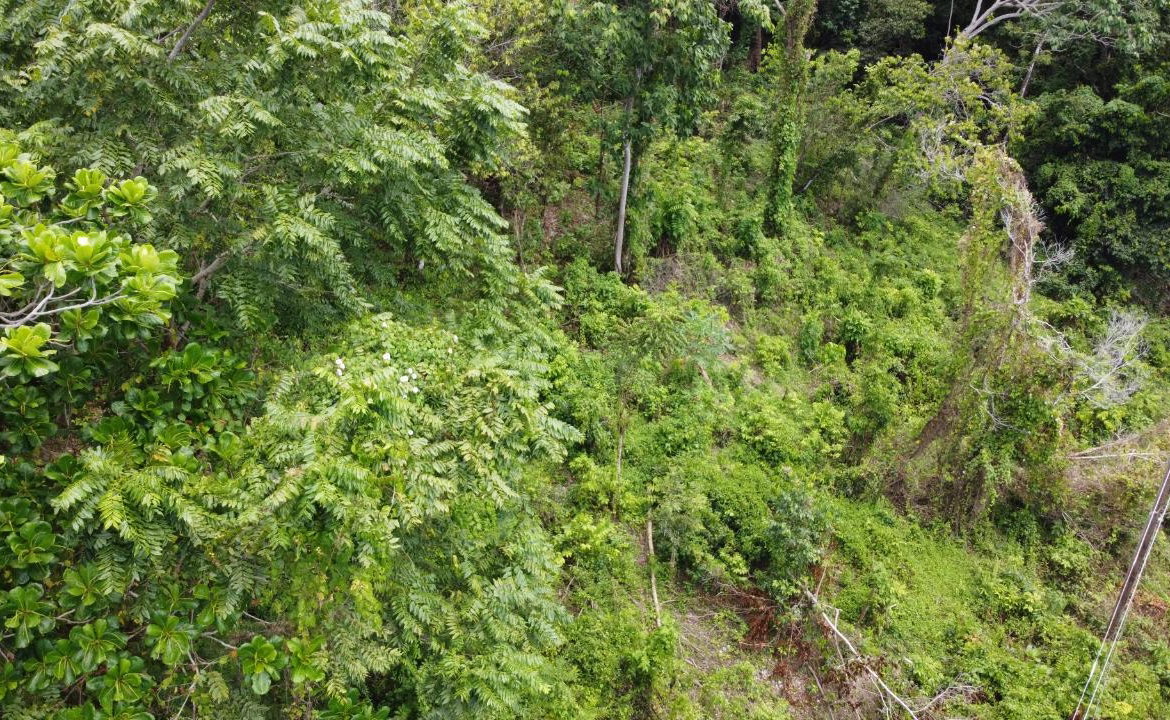 Twenty-Third image of Cardiff Hall in Runaway Bay, St. Ann, Jamaica - property is For Sale