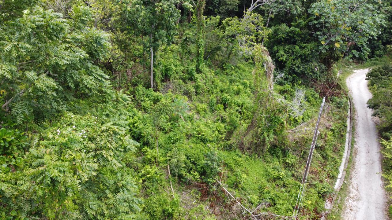 35.33-Acres-Ocean-View-Development-Land-in-Cardiff-Hall-Jamaica Twenty-Fourth image of Cardiff Hall in Runaway Bay, St. Ann, Jamaica - property is For Sale