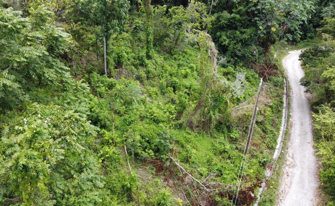 Twenty-Fifth image of Cardiff Hall in Runaway Bay, St. Ann, Jamaica - property is For Sale