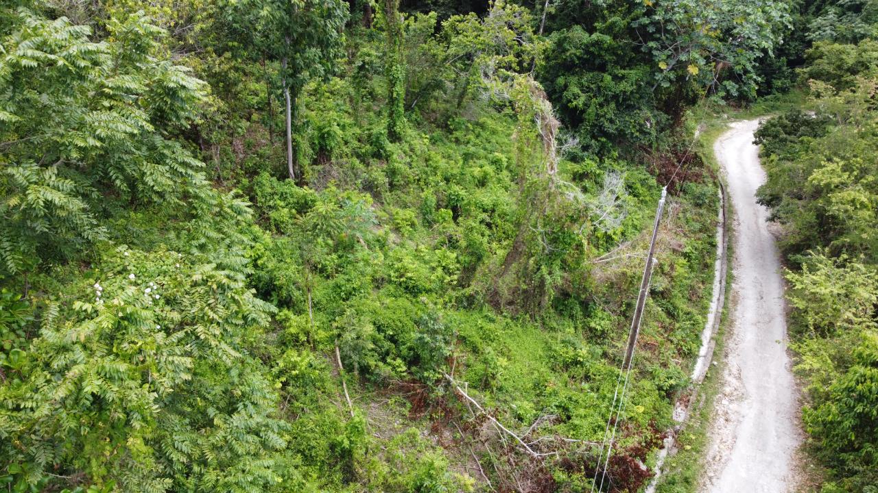 35.33-Acres-Ocean-View-Development-Land-in-Cardiff-Hall-Jamaica Twenty-Fifth image of Cardiff Hall in Runaway Bay, St. Ann, Jamaica - property is For Sale