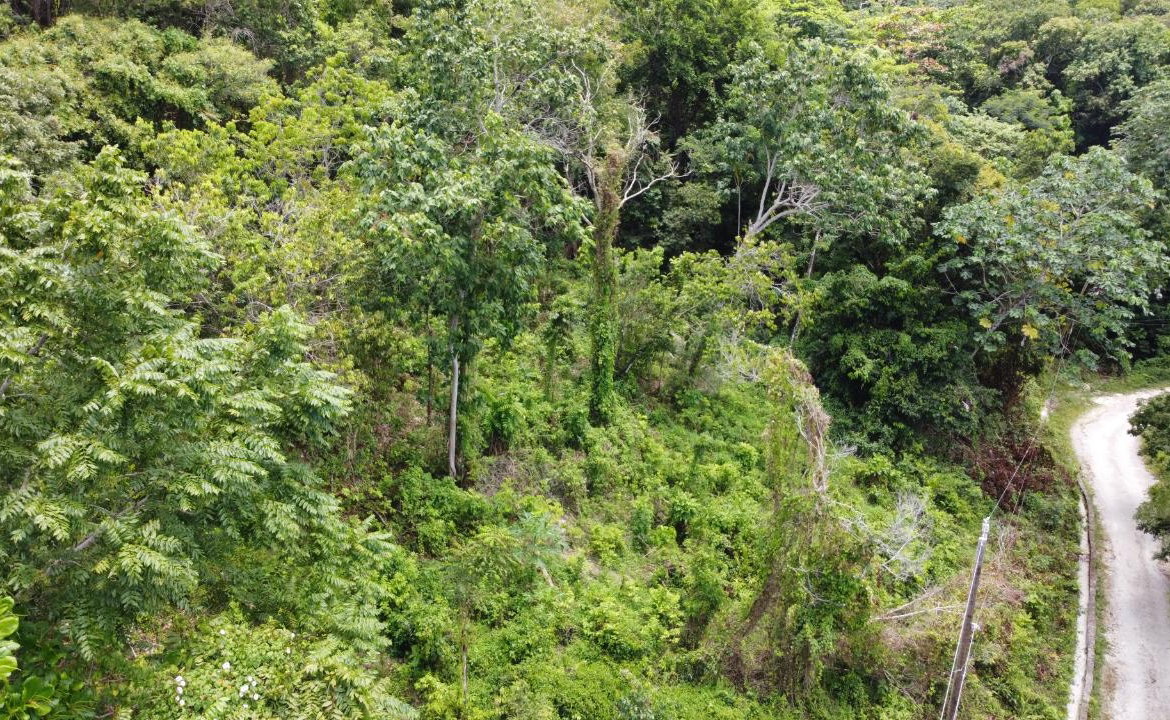 Twenty-Sixth image of Cardiff Hall in Runaway Bay, St. Ann, Jamaica - property is For Sale