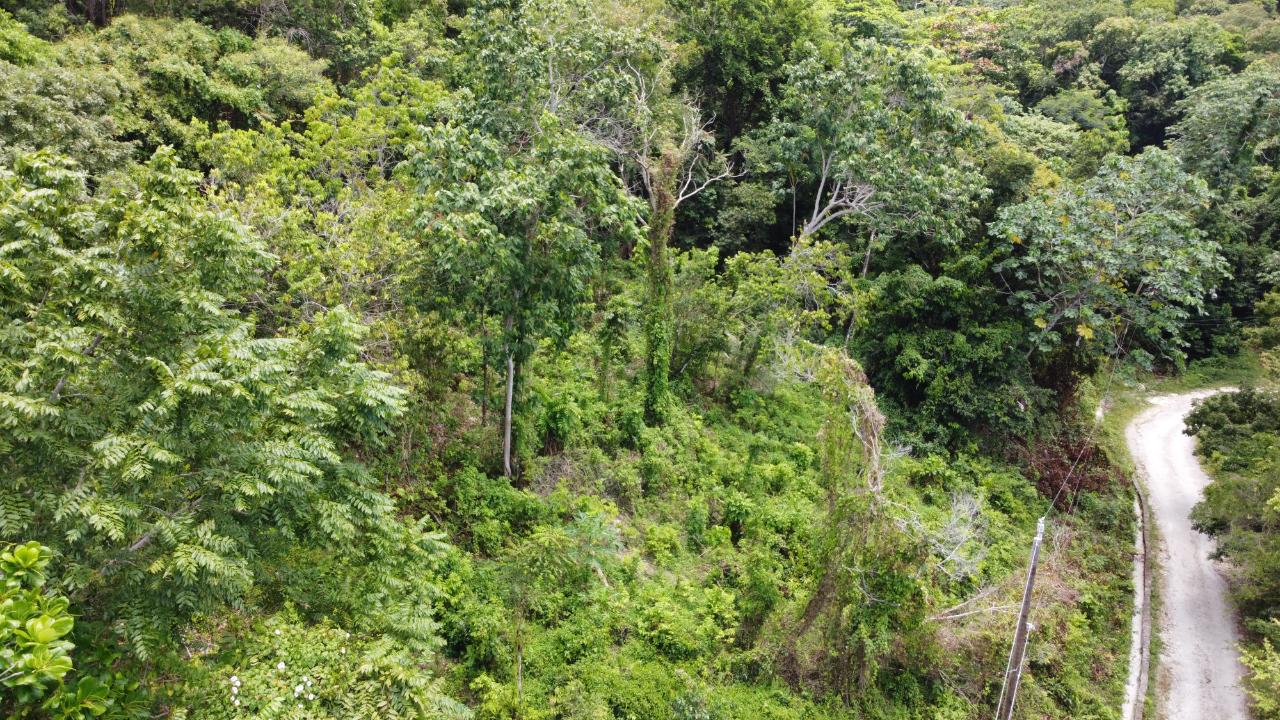35.33-Acres-Ocean-View-Development-Land-in-Cardiff-Hall-Jamaica Twenty-Sixth image of Cardiff Hall in Runaway Bay, St. Ann, Jamaica - property is For Sale