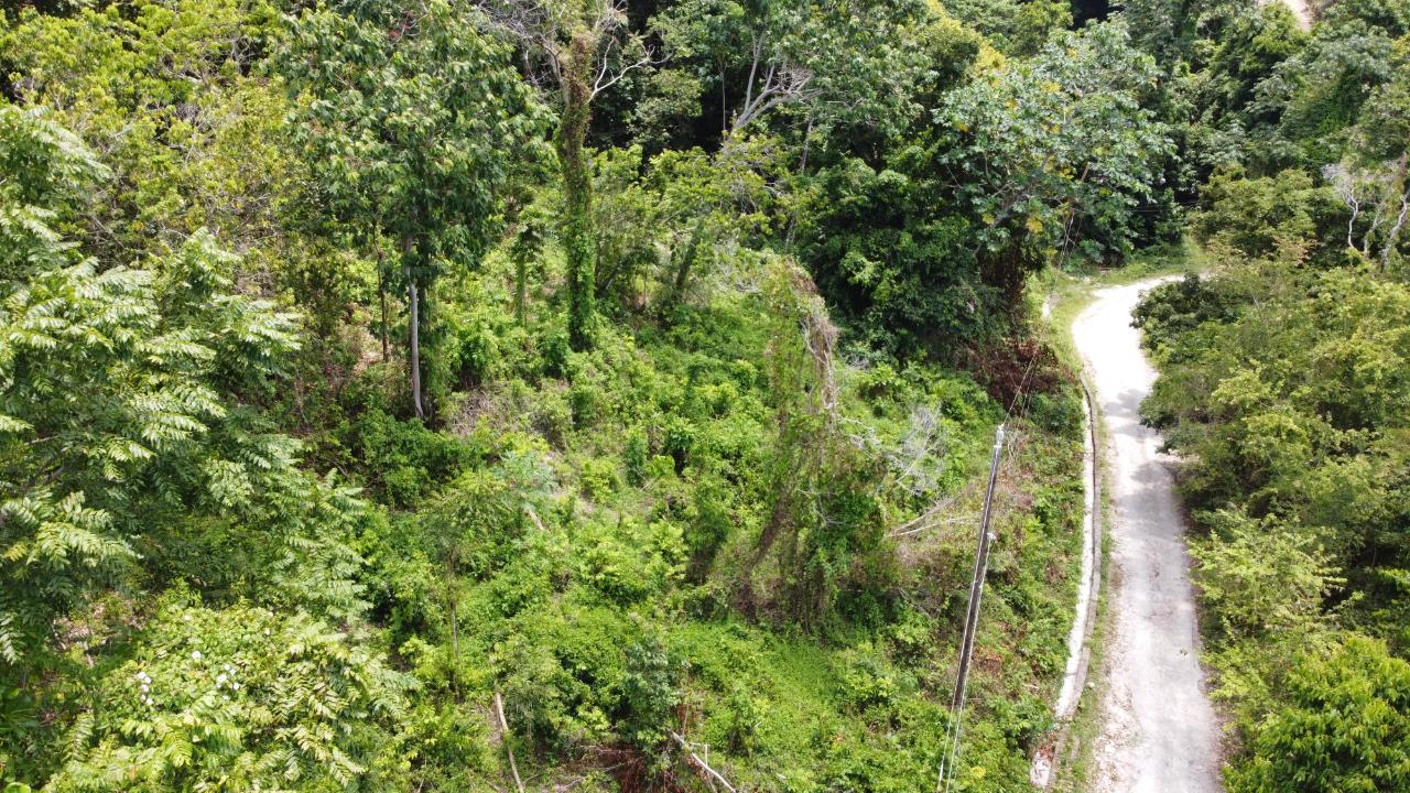35.33-Acres-Ocean-View-Development-Land-in-Cardiff-Hall-Jamaica Twenty-Seventh image of Cardiff Hall in Runaway Bay, St. Ann, Jamaica - property is For Sale