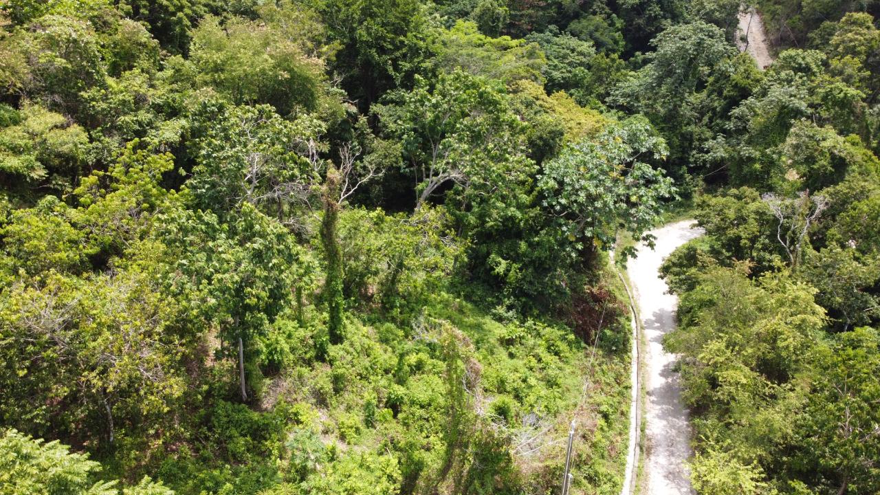 35.33-Acres-Ocean-View-Development-Land-in-Cardiff-Hall-Jamaica Twenty-Eighth image of Cardiff Hall in Runaway Bay, St. Ann, Jamaica - property is For Sale