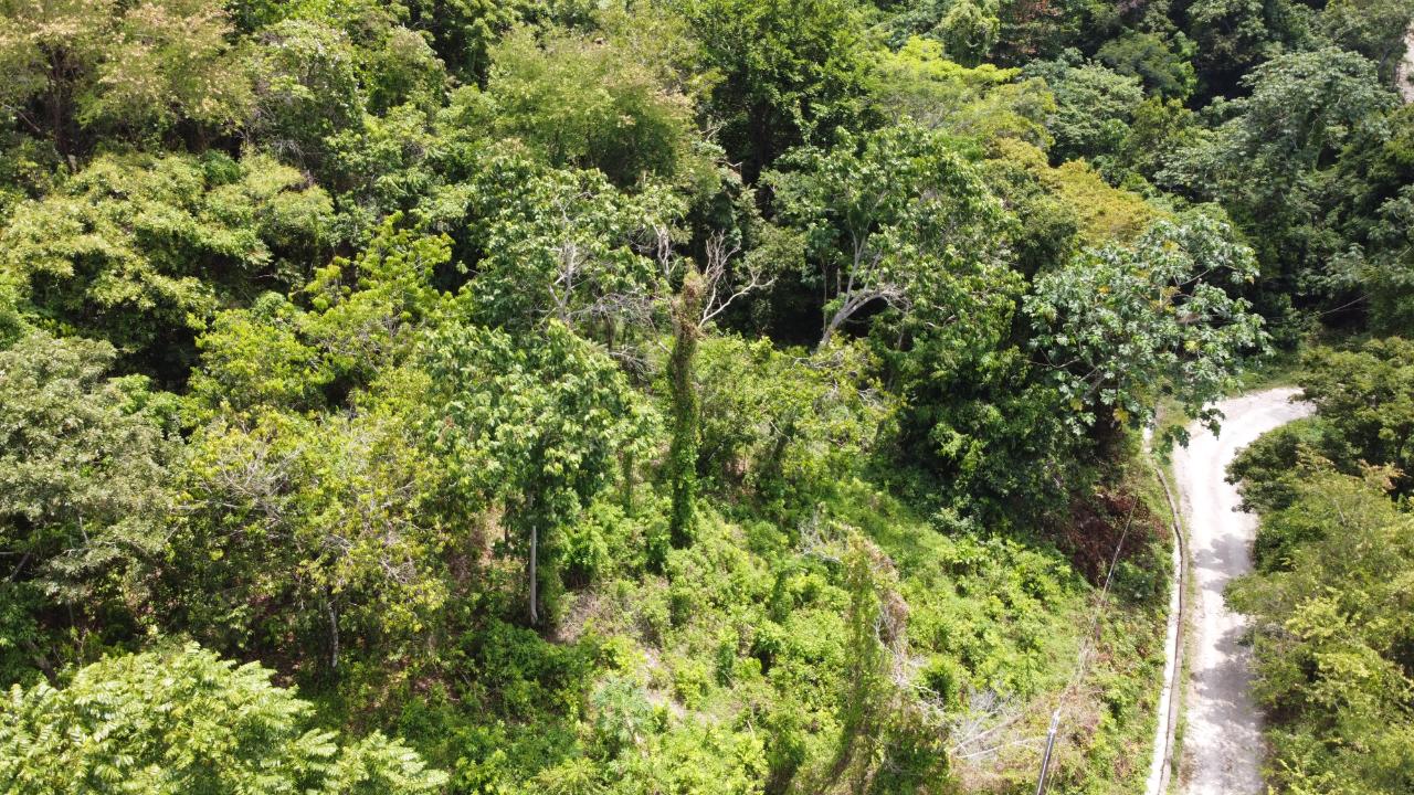 35.33-Acres-Ocean-View-Development-Land-in-Cardiff-Hall-Jamaica Twenty-Ninth image of Cardiff Hall in Runaway Bay, St. Ann, Jamaica - property is For Sale