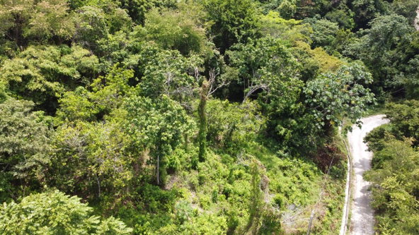Twenty-Ninth image of Cardiff Hall in Runaway Bay, St. Ann, Jamaica - property is For Sale
