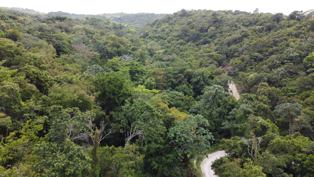 35.33-Acres-Ocean-View-Development-Land-in-Cardiff-Hall-Jamaica Thirtieth image of Cardiff Hall in Runaway Bay, St. Ann, Jamaica - property is For Sale