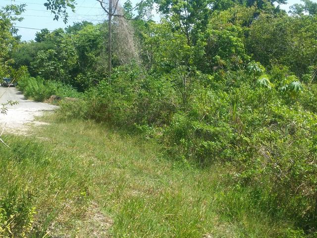 Seventh image of Cardiff Hall in Runaway Bay, St. Ann, Jamaica - property is For Sale