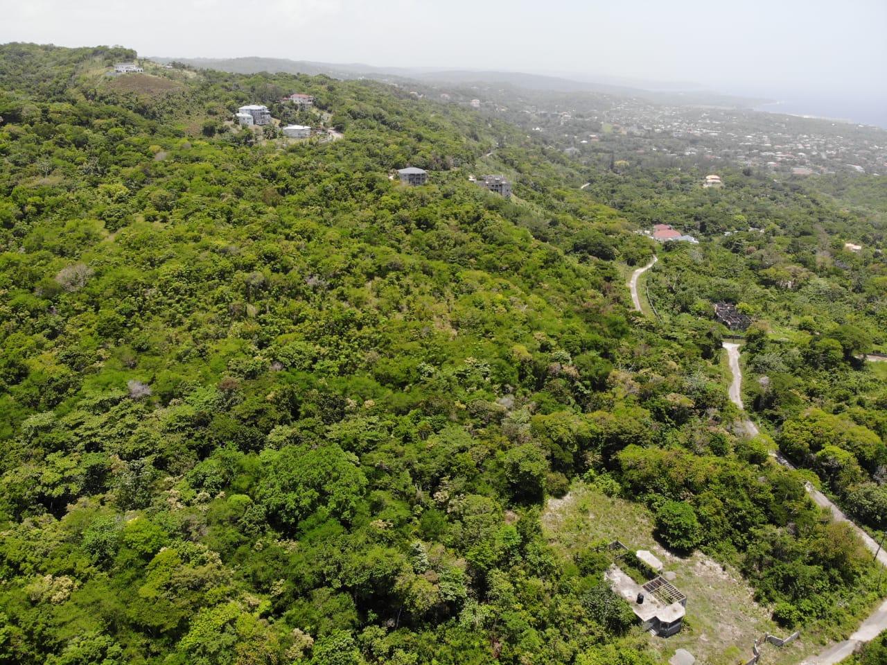 35.33-Acres-Ocean-View-Development-Land-in-Cardiff-Hall-Jamaica Eighth image of Cardiff Hall in Runaway Bay, St. Ann, Jamaica - property is For Sale