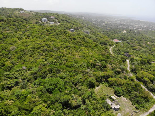 Eighth image of Cardiff Hall in Runaway Bay, St. Ann, Jamaica - property is For Sale