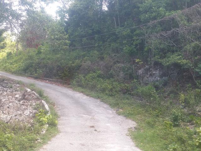 Ninth image of Cardiff Hall in Runaway Bay, St. Ann, Jamaica - property is For Sale