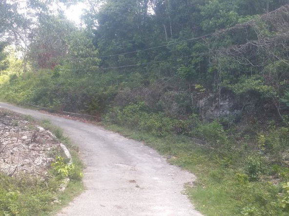 Ninth image of Cardiff Hall in Runaway Bay, St. Ann, Jamaica - property is For Sale