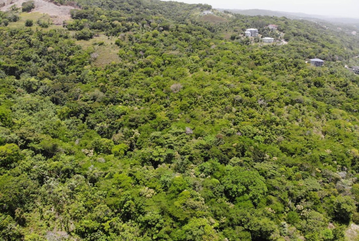 Tenth image of Cardiff Hall in Runaway Bay, St. Ann, Jamaica - property is For Sale