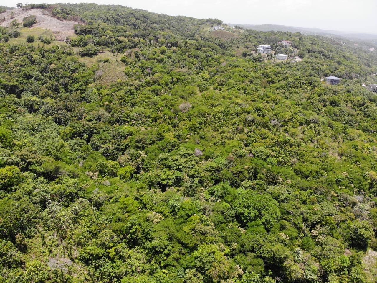 35.33-Acres-Ocean-View-Development-Land-in-Cardiff-Hall-Jamaica Tenth image of Cardiff Hall in Runaway Bay, St. Ann, Jamaica - property is For Sale