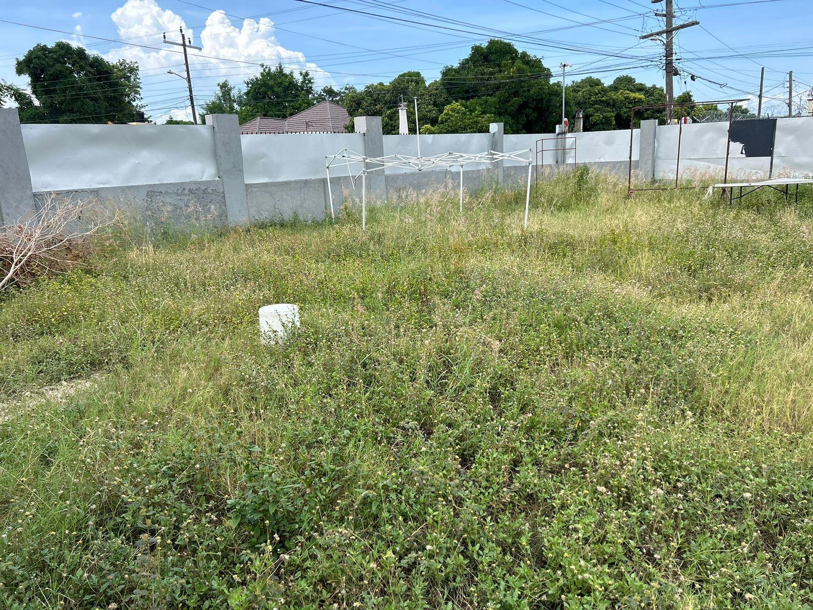 Fourth image of 19 Queens Avenue in Richmond Park, St. Andrew, Jamaica - property is For Rent