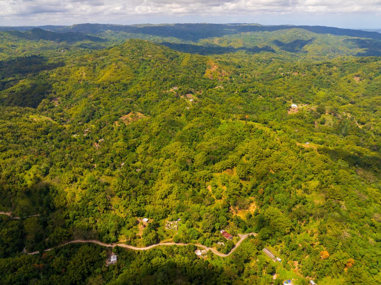 Second image of Lewisburgh in Lewisburgh, St. Mary, Jamaica - property is For Sale