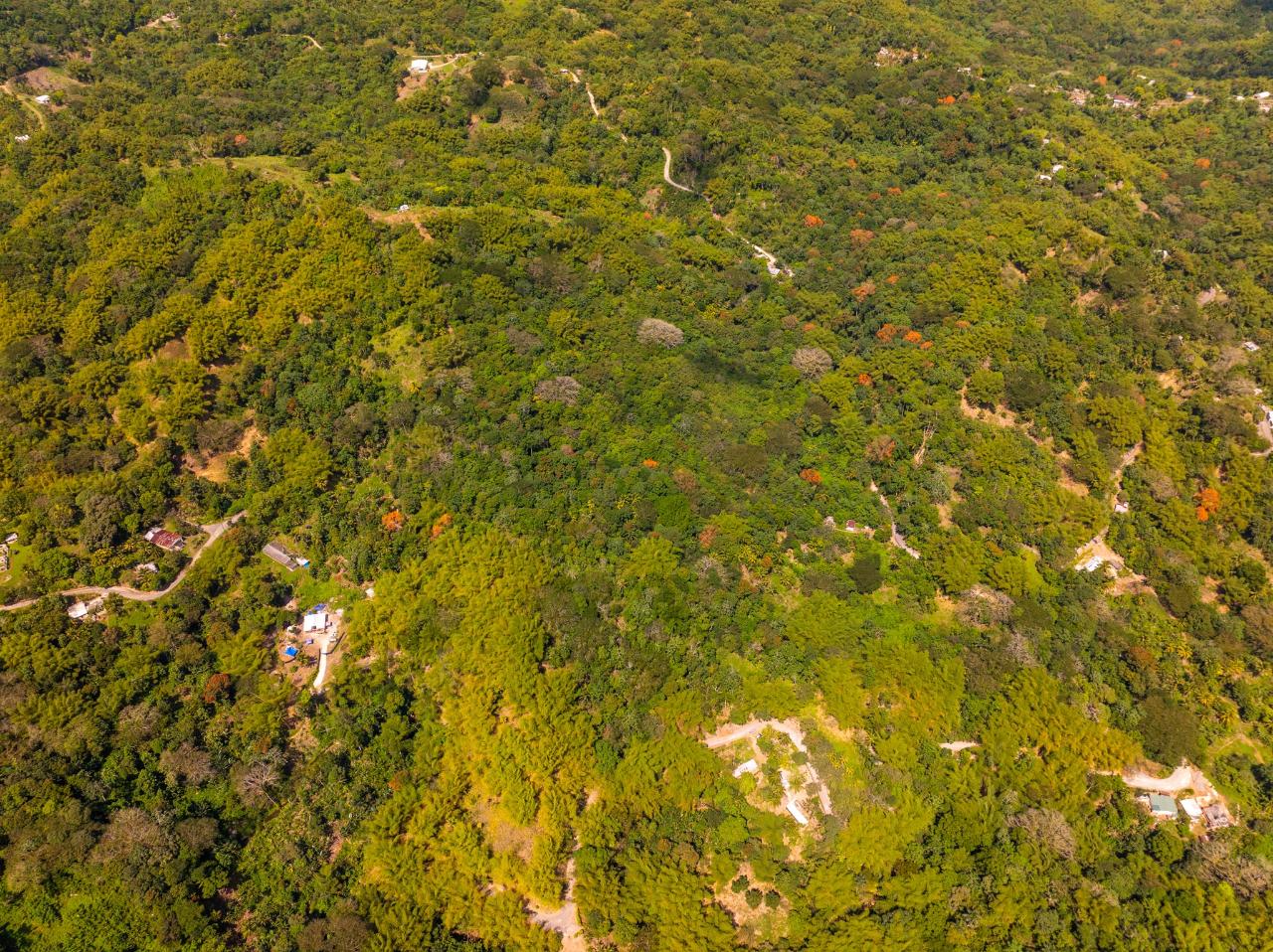 Third image of Lewisburgh in Lewisburgh, St. Mary, Jamaica - property is For Sale