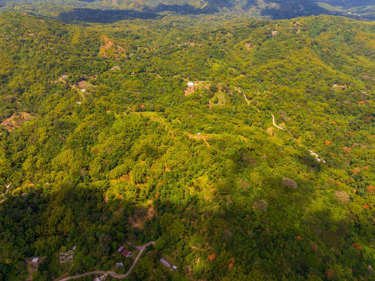 Fourth image of Lewisburgh in Lewisburgh, St. Mary, Jamaica - property is For Sale