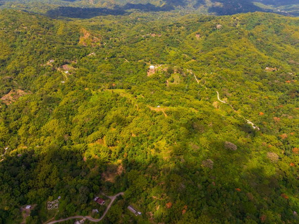 Fourth image of Lewisburgh in Lewisburgh, St. Mary, Jamaica - property is For Sale