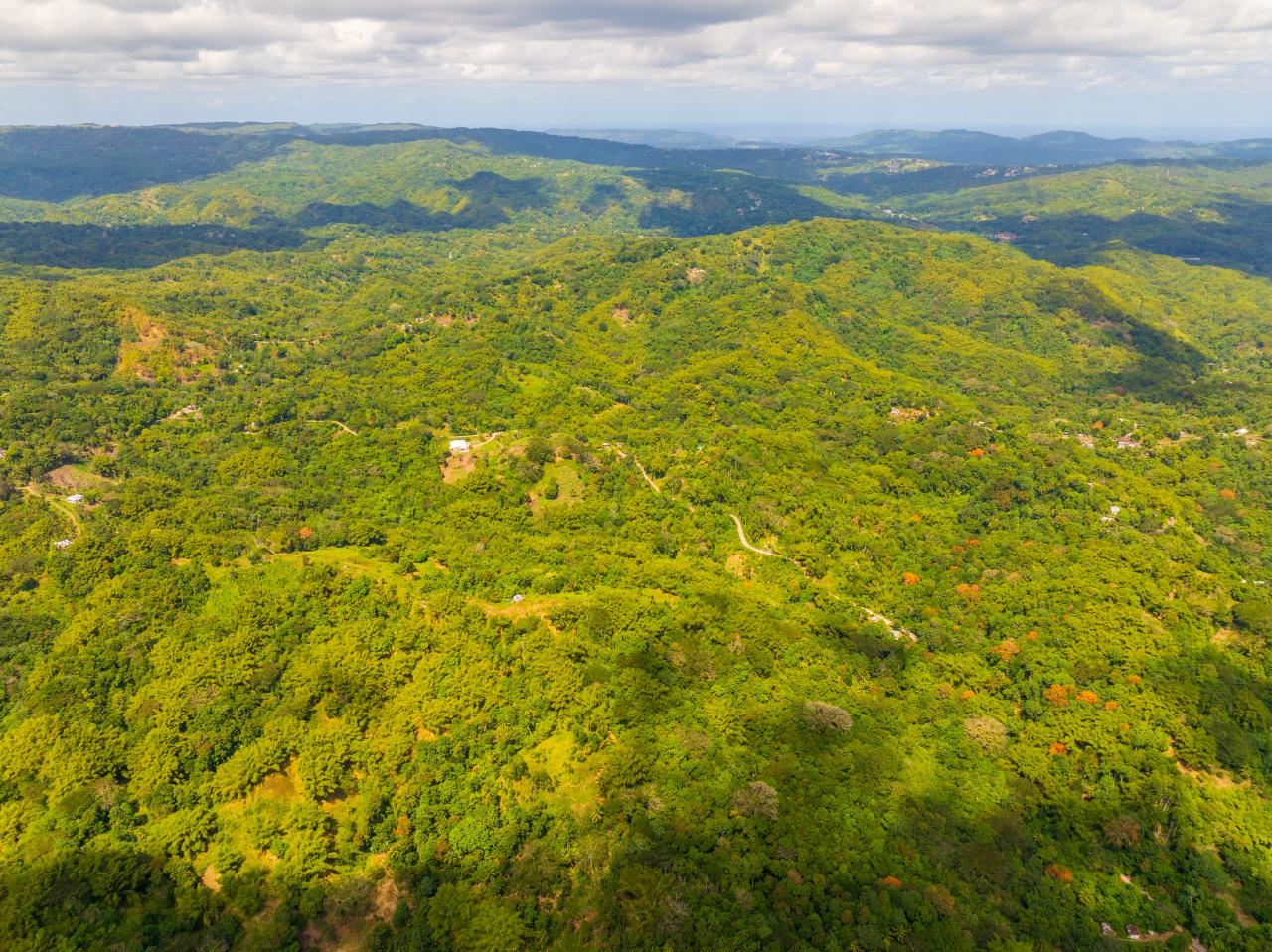 Fifth image of Lewisburgh in Lewisburgh, St. Mary, Jamaica - property is For Sale