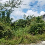 First image of 360 Tropical Lane, Culloden in White House WD, Westmoreland, Jamaica - property is For Sale