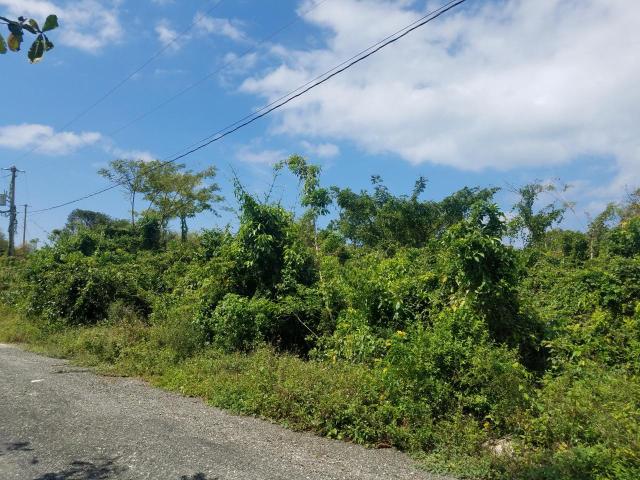Third image of 360 Tropical Lane, Culloden in White House WD, Westmoreland, Jamaica - property is For Sale