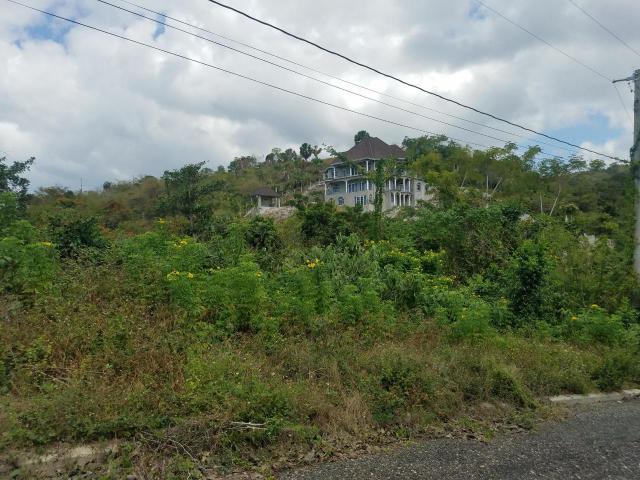 Fourth image of 360 Tropical Lane, Culloden in White House WD, Westmoreland, Jamaica - property is For Sale