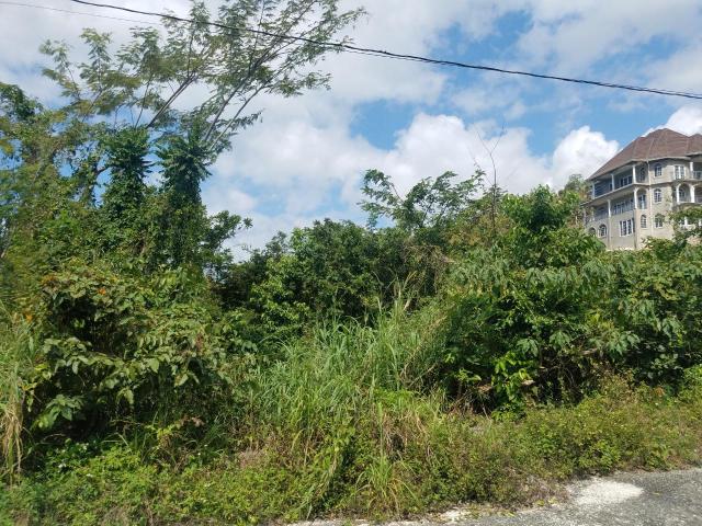 First image of 360 Tropical Lane, Culloden in White House WD, Westmoreland, Jamaica - property is For Sale
