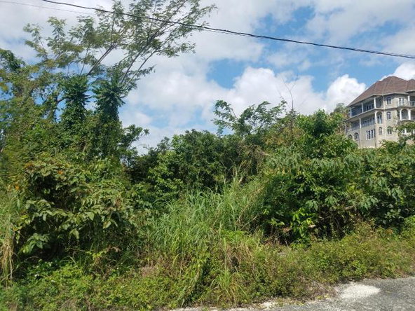 First image of 360 Tropical Lane, Culloden in White House WD, Westmoreland, Jamaica - property is For Sale
