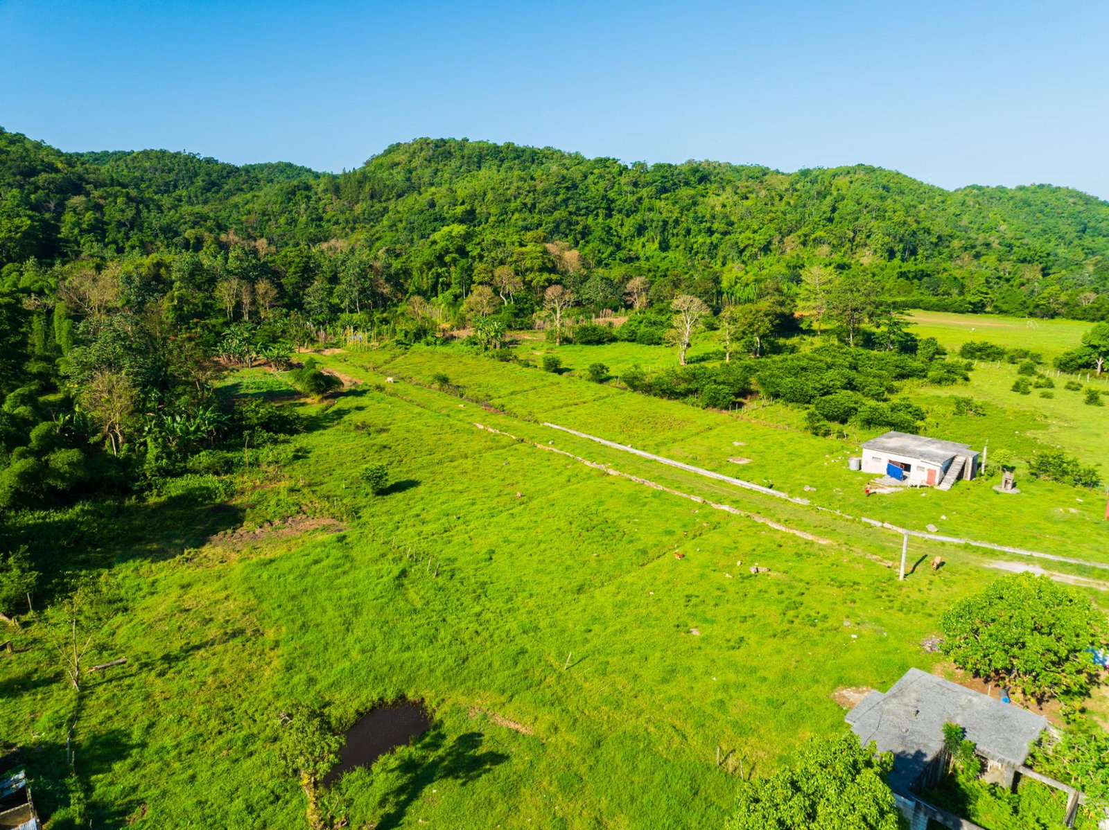 Fifth image of Lot 298- Troy in Troy, Trelawny, Jamaica - property is For Sale