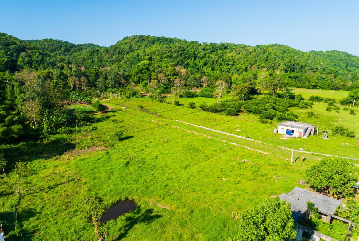 Sixth image of Lot 298- Troy in Troy, Trelawny, Jamaica - property is For Sale
