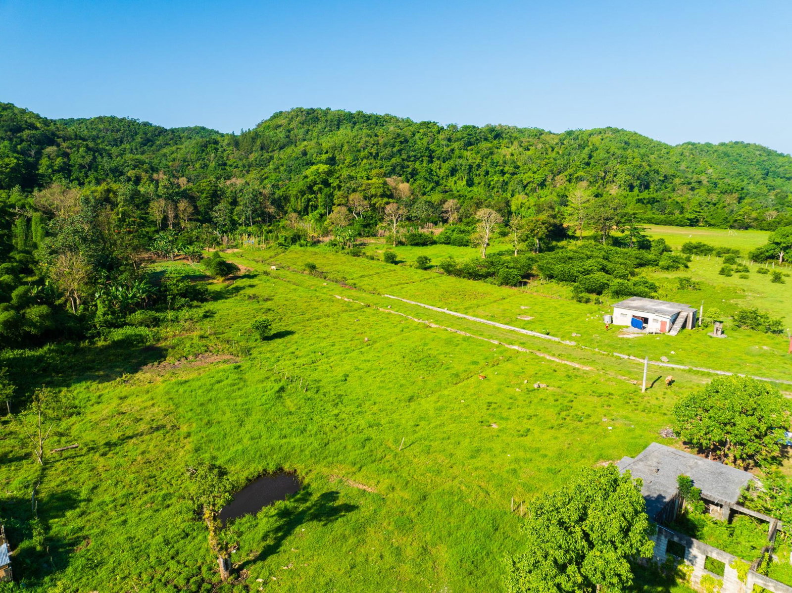 Sixth image of Lot 298- Troy in Troy, Trelawny, Jamaica - property is For Sale