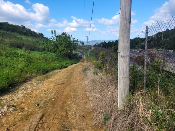 Third image of Angel Lands, Bogue, St. p in St.Pauls, Manchester, Jamaica - property is For Sale
