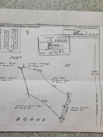 Ninth image of Angel Lands, Bogue, St. p in St.Pauls, Manchester, Jamaica - property is For Sale
