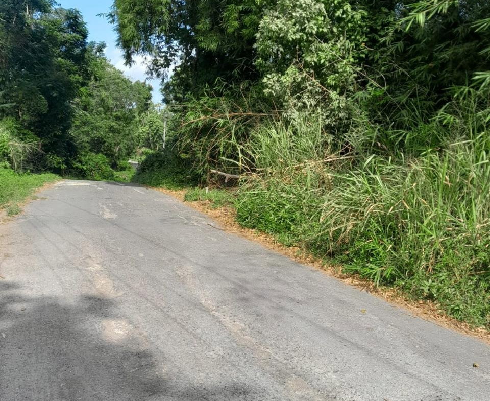 Second image of Coxpiece in Wood Park, St. Mary, Jamaica - property is For Sale