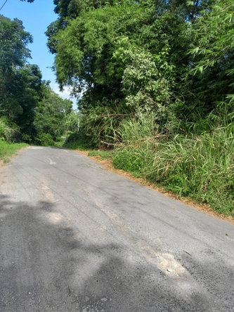 Second image of Coxpiece in Wood Park, St. Mary, Jamaica - property is For Sale