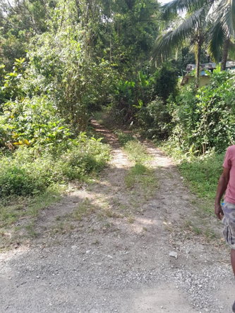 Third image of Coxpiece in Wood Park, St. Mary, Jamaica - property is For Sale