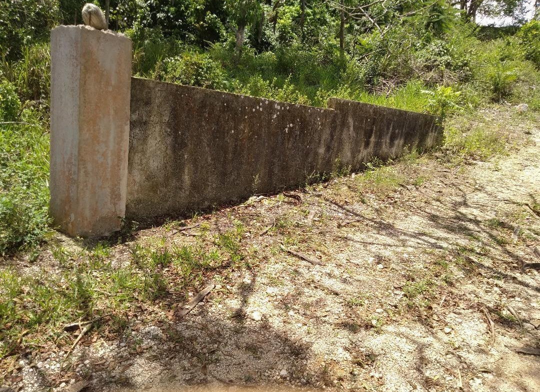 Second image of Spitzbergen in Walderston, Manchester, Jamaica - property is For Sale