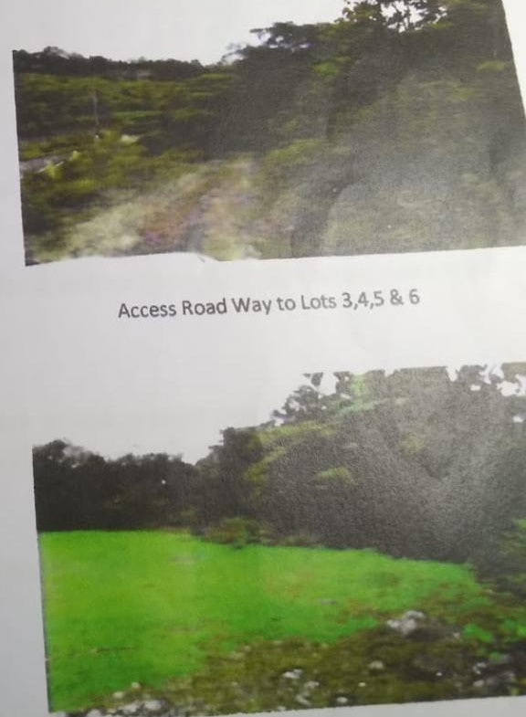 Fourth image of Spitzbergen in Walderston, Manchester, Jamaica - property is For Sale