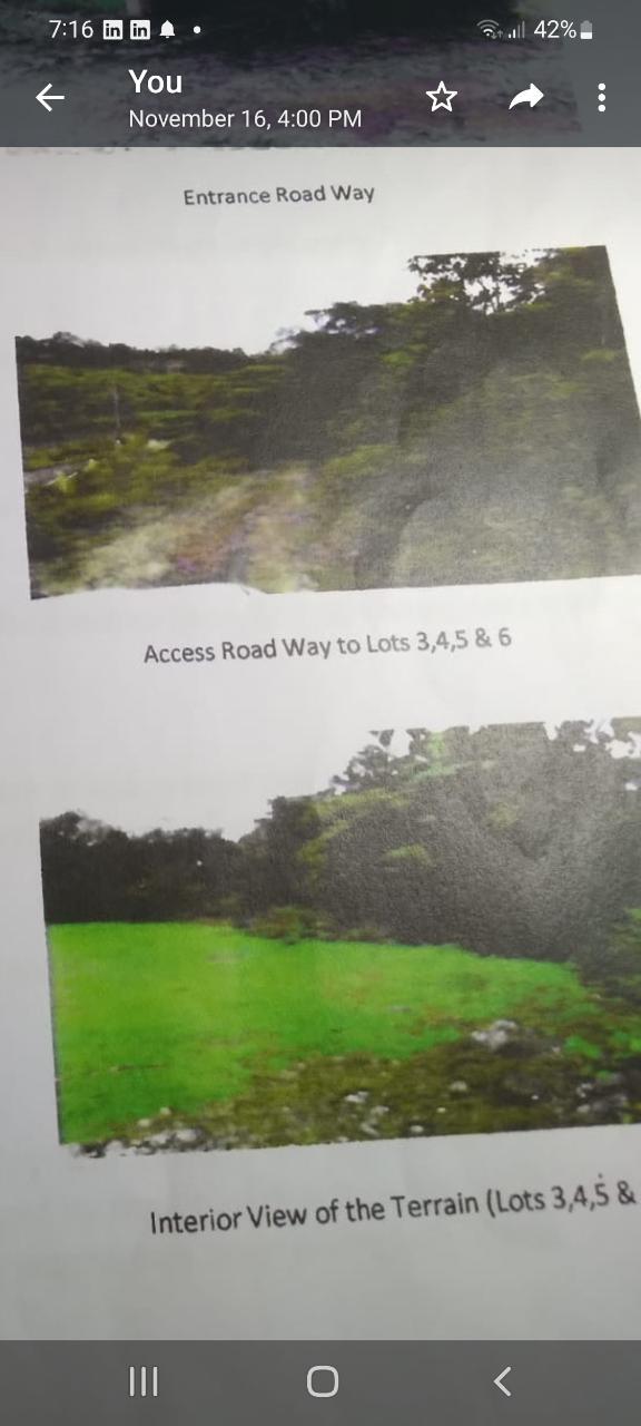Fourth image of Spitzbergen in Walderston, Manchester, Jamaica - property is For Sale