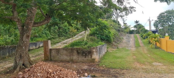 First image of Spitzbergen in Walderston, Manchester, Jamaica - property is For Sale