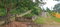 First image of Spitzbergen in Walderston, Manchester, Jamaica - property is For Sale