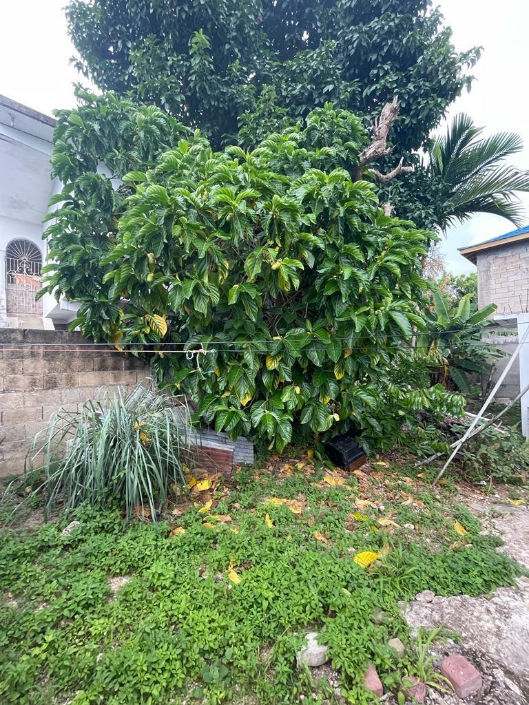 Twentieth image of 157 Mansfield Heights in Ocho Rios, St. Ann, Jamaica - property is For Sale