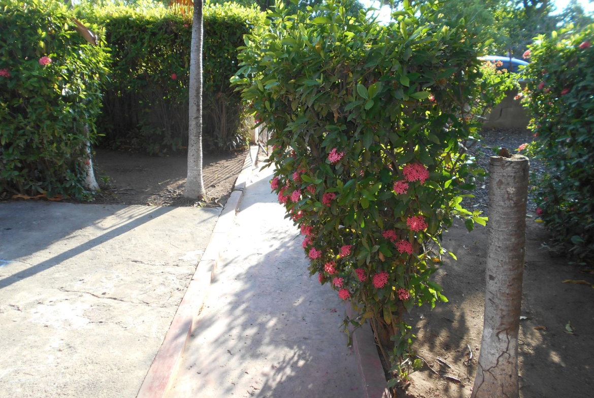 Twelfth image of Lot 74 South Street Amity Hall in Lionel Town, Clarendon, Jamaica - property is For Sale