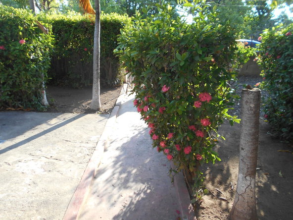Twelfth image of Lot 74 South Street Amity Hall in Lionel Town, Clarendon, Jamaica - property is For Sale