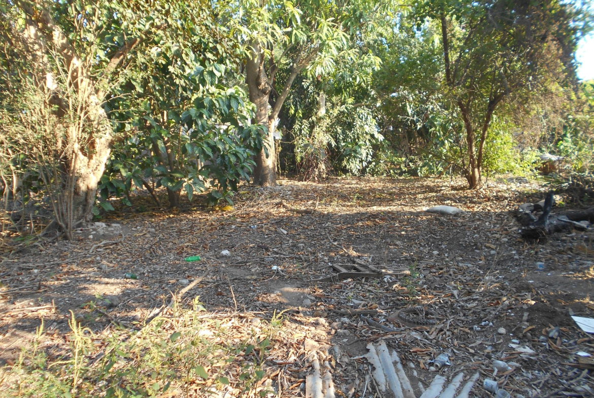 Fifth image of Lot 74 South Street Amity Hall in Lionel Town, Clarendon, Jamaica - property is For Sale